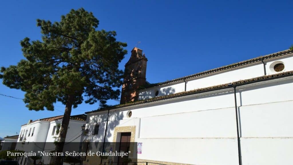 Horario de Misas en Parroquia Nuestra Señora de Guadalupe (El Bosque)