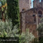 Antiguo Monasterio de San Pau del Campo