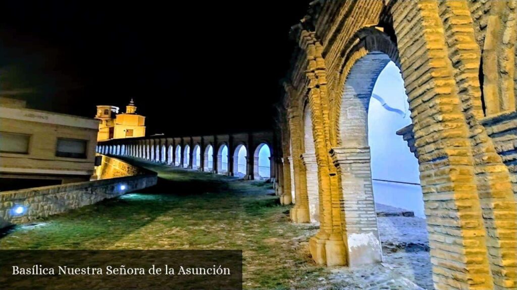 Basílica Nuestra Señora de la Asunción - Cascante (Navarra)