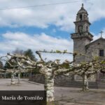 Igrexa de Santa María de Tomiño