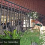 Monestir del Sagrat Cor Carmelites