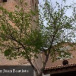 Parroquia San Juan Bautista