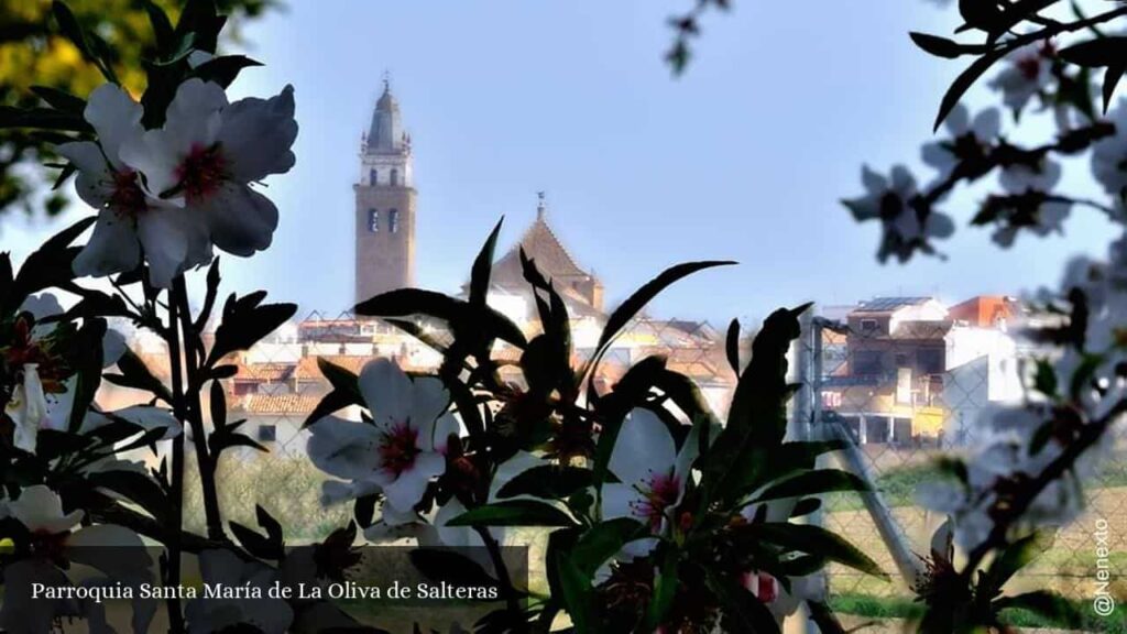 Parroquia Santa María de la Oliva de Salteras - Salteras (Andalucía)